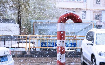 下雪了作文精选8篇