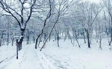 下雪天安全教案8篇