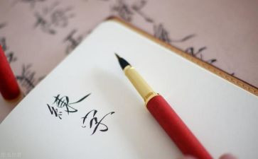写事的作文300字优质6篇