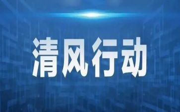 专项行动办工作总结7篇