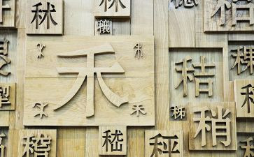 形近字教学教案参考5篇