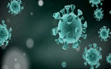 新冠疫情的个人总结5篇