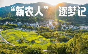 2024年新农合工作总结7篇