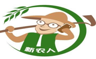 新农村社会实践报告5篇