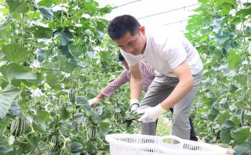 最新农村低保申请书7篇