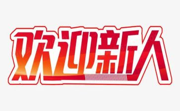 新人2024年工作总结5篇