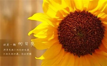 新一年工会工作计划8篇