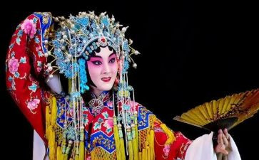 戏曲活动进校园活动总结7篇