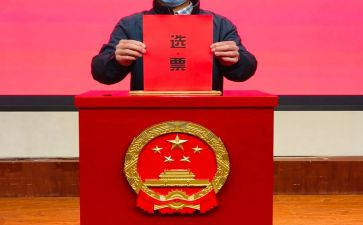 居委会选举工作总结5篇