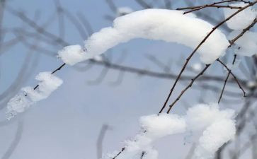 雪地寻踪读后感8篇