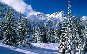 2024年除雪工作总结报告优质6篇