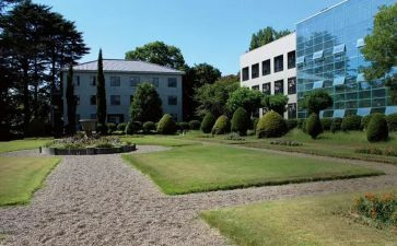 学部主任述职报告7篇