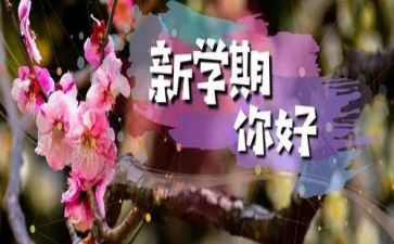 本学期教师工作总结范文最新7篇