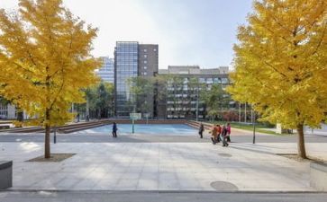 2024学校自查报告通用8篇