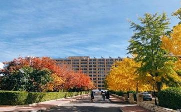 学校教师年度工作总结报告7篇