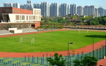 学校415活动方案7篇