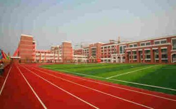 学校的工作总结报告推荐6篇