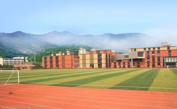 学校三到活动总结报告7篇