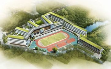 2024年学校出纳工作总结8篇