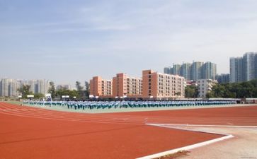 学校个人财务室工作总结范文8篇