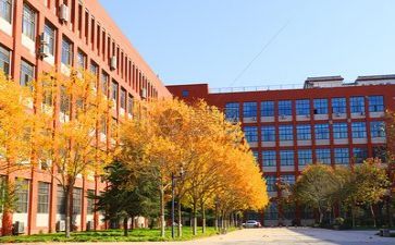 学校述职报告2024年最新范文6篇