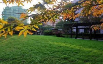2024学校年终工作总结范文7篇