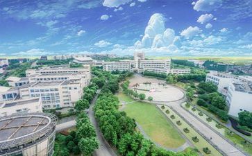 2024学校个人总结7篇