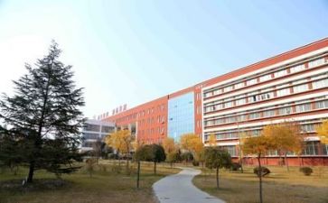 2024年学校年度工作总结优秀8篇