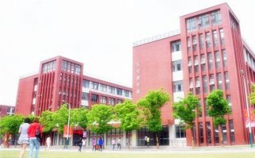 2024学校个人总结优秀6篇