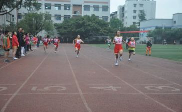 学校体育教师的述职报告5篇