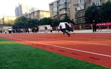 学校体育工作总结范文6篇