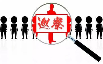 巡察干部个人总结6篇
