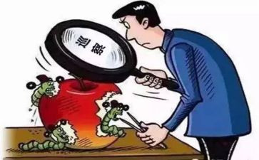 组织工作与巡察工作报告5篇