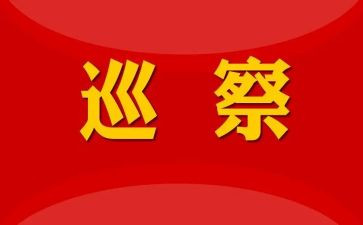 巡察组述职报告6篇