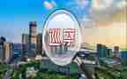 巡察组组长述职报告6篇