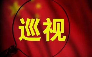 巡视工作心得体会5篇