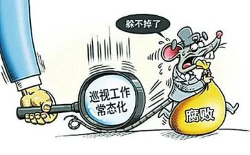 参加巡视心得体会6篇