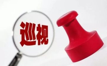 巡视组总结报告5篇
