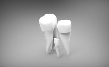 大班掉牙齿教案5篇