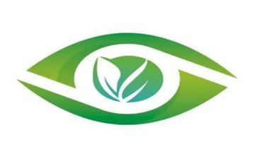 难忘的眼神作文600字优质6篇