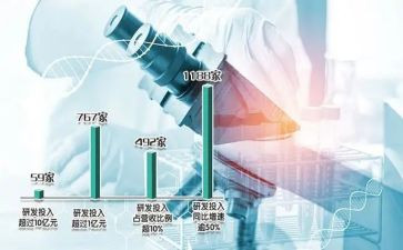 项目研发总结报告7篇