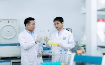 研发员工作计划优秀5篇