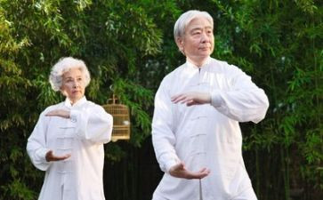养老2024年工作总结范文7篇