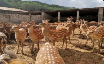 养殖合同最新5篇