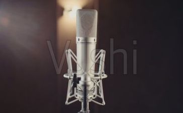 300字的演讲稿作文最新8篇