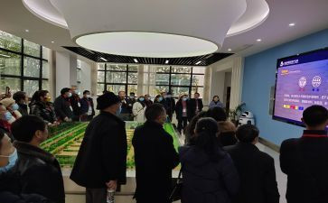 教师的研修活动总结6篇
