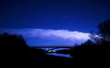 游园夜活动总结优秀5篇