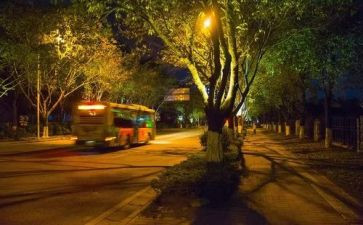 平安夜做活动总结5篇