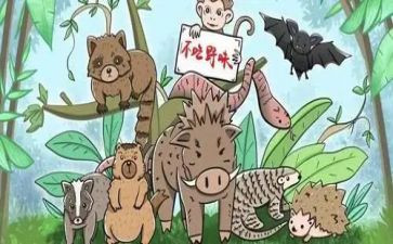 野味从我做起的演讲稿8篇