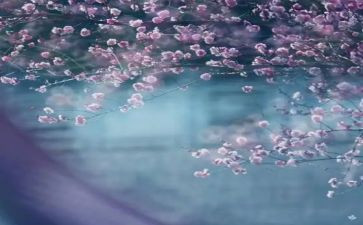 一季度工作计划模板7篇